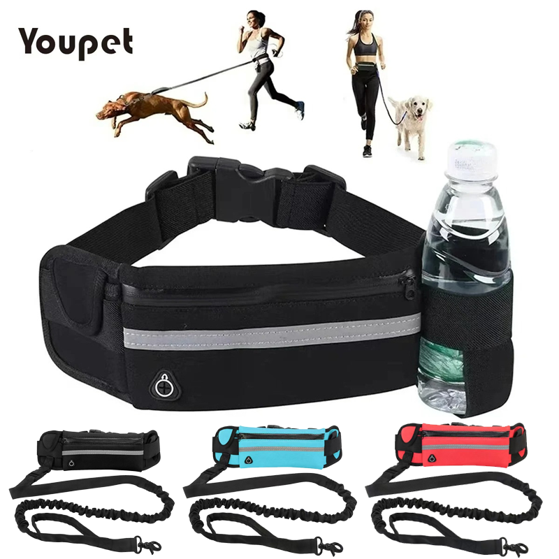 Running Gear Holder - Dog Running Waist Leash Nylon Pet