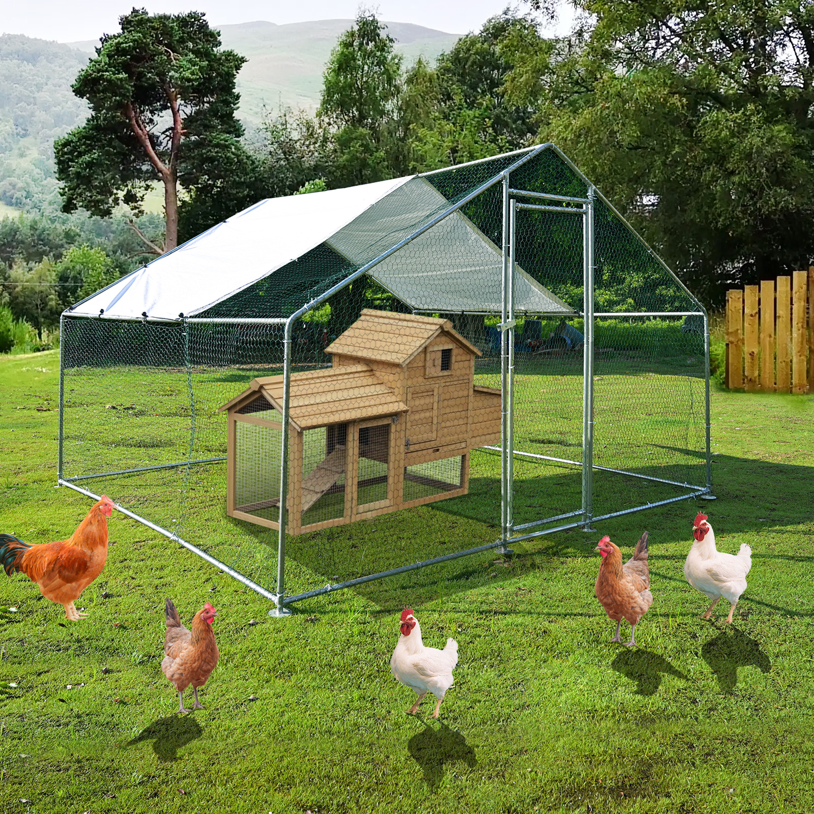 Running Cap Mesh - Teousev 10x 10 ft Metal Chicken