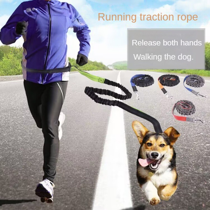 Running Gear Holder - Hand Free Dog Leash for Pet