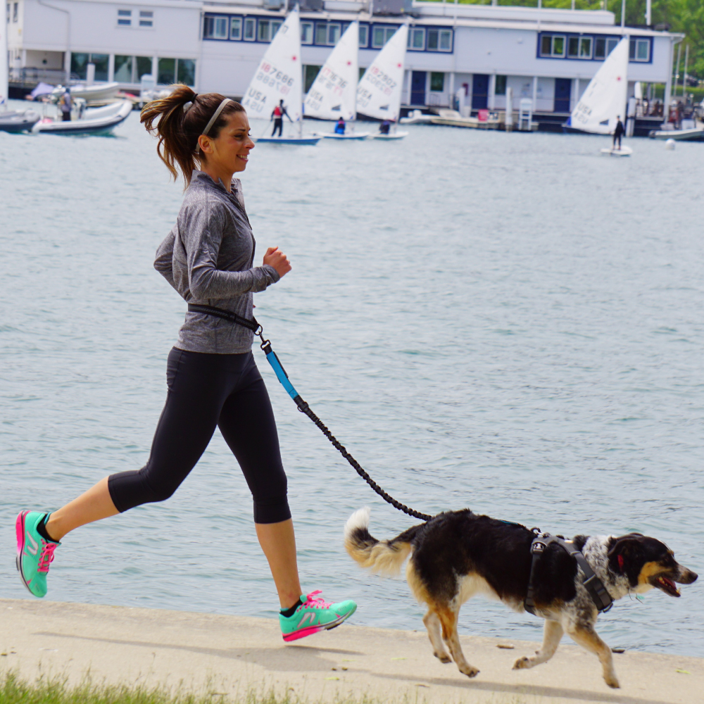 Hand Free Dog Leash for Pet Wa - Running Gear Holder incelemesi ve fiyatı
