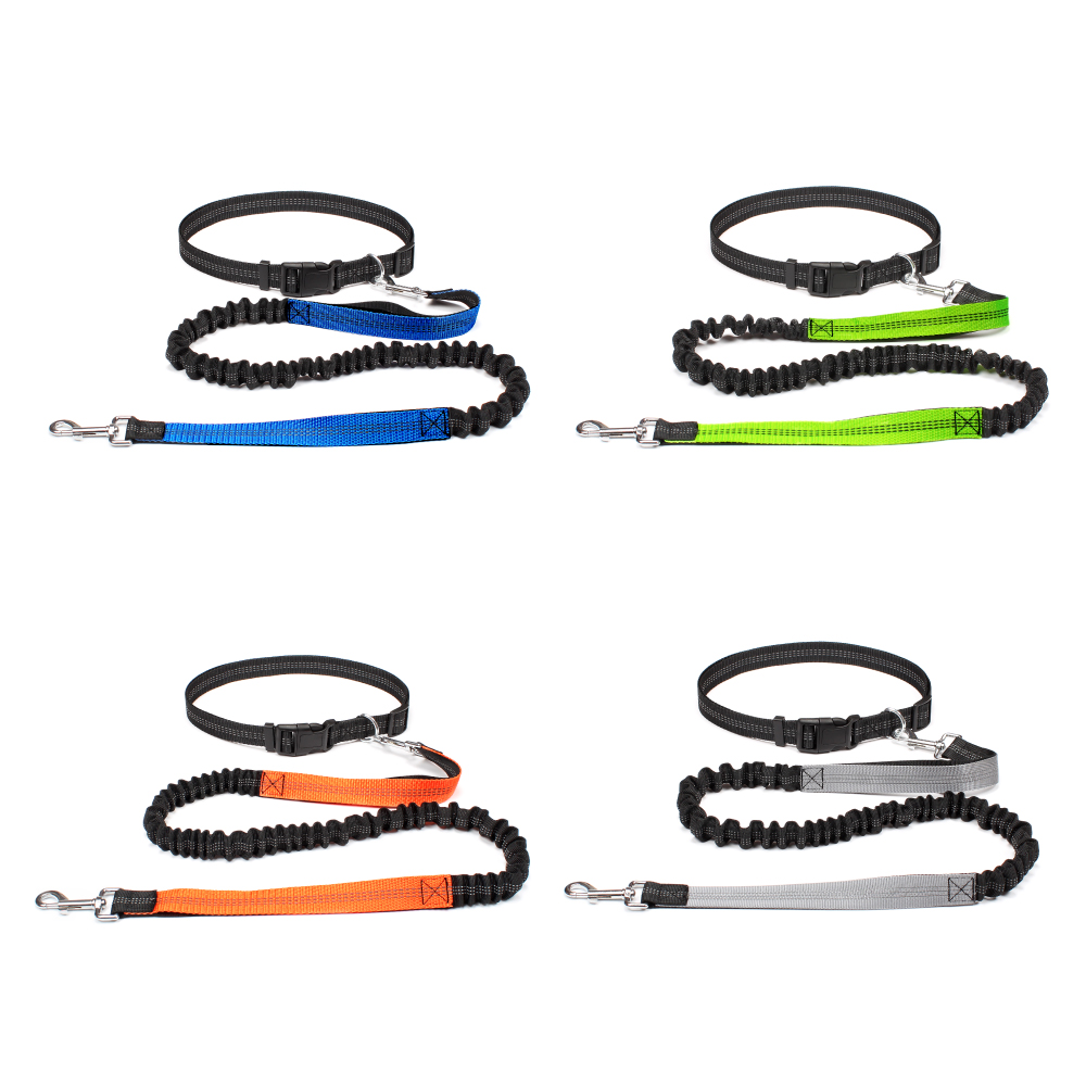 Hand Free Dog Leash for Pet Wa - Running Gear Holder incelemesi ve fiyatı