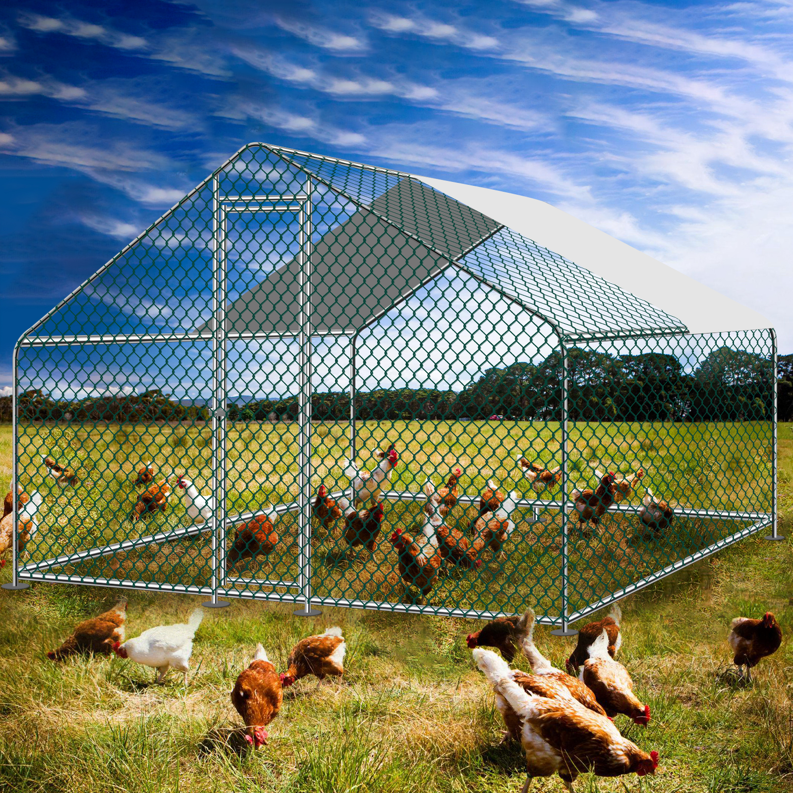 Teousev 10x 10 ft Metal Chicke - Running Cap Mesh incelemesi ve fiyatı
