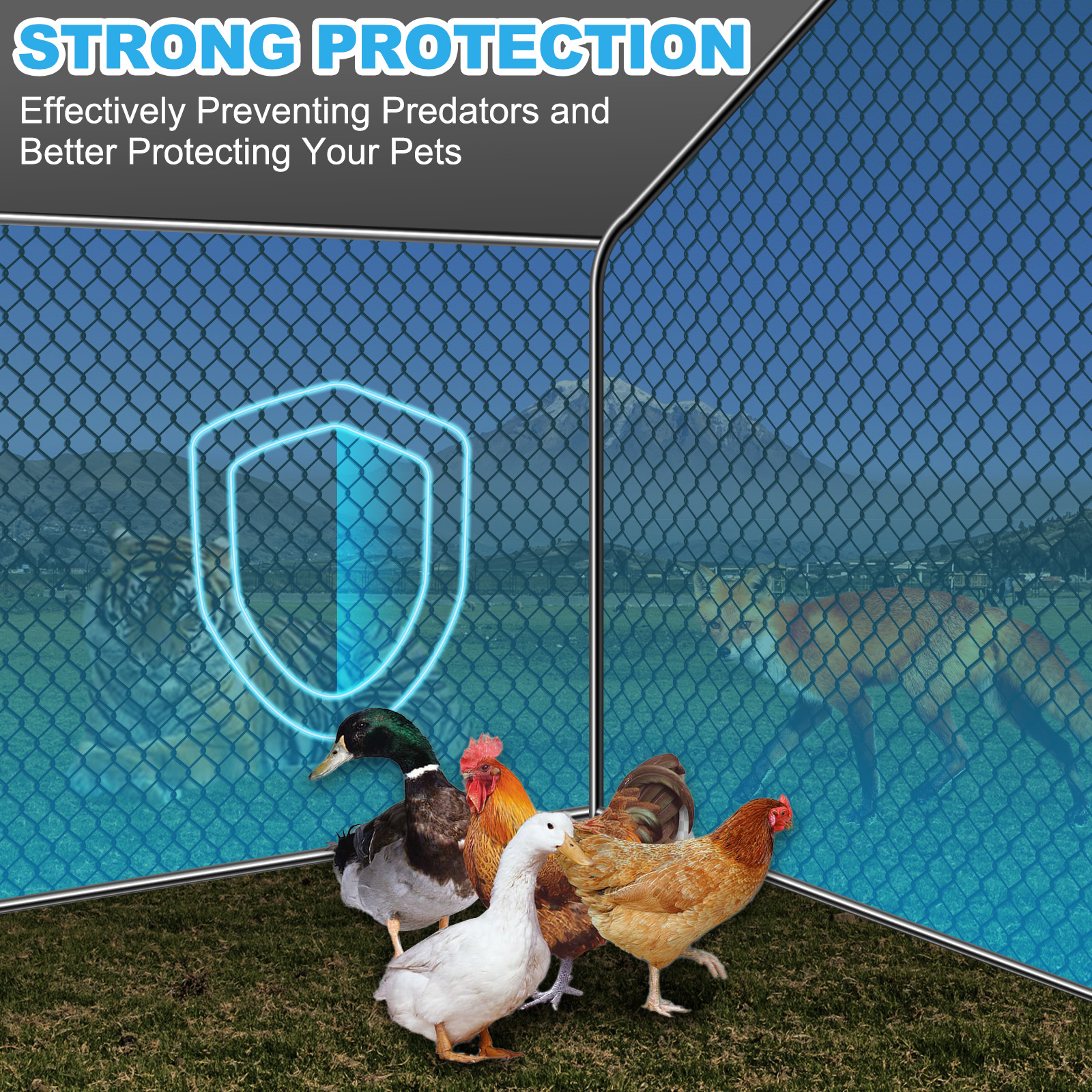 Teousev 10x 10 ft Metal Chicke - Running Cap Mesh incelemesi ve fiyatı