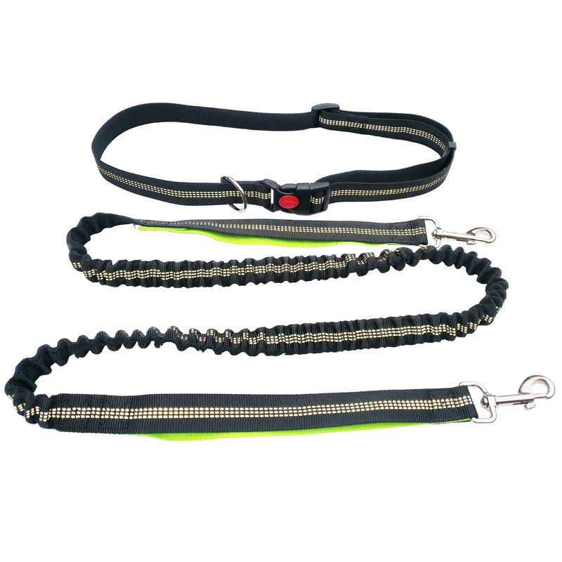 Hand Free Dog Leash for Pet Wa - Running Gear Holder incelemesi ve fiyatı