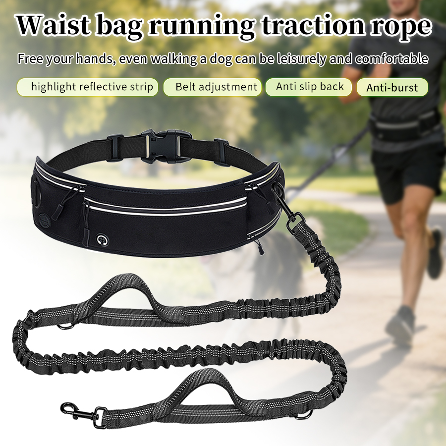 Foldable Reflective Dog Leash  - Running Gear Holder incelemesi ve fiyatı
