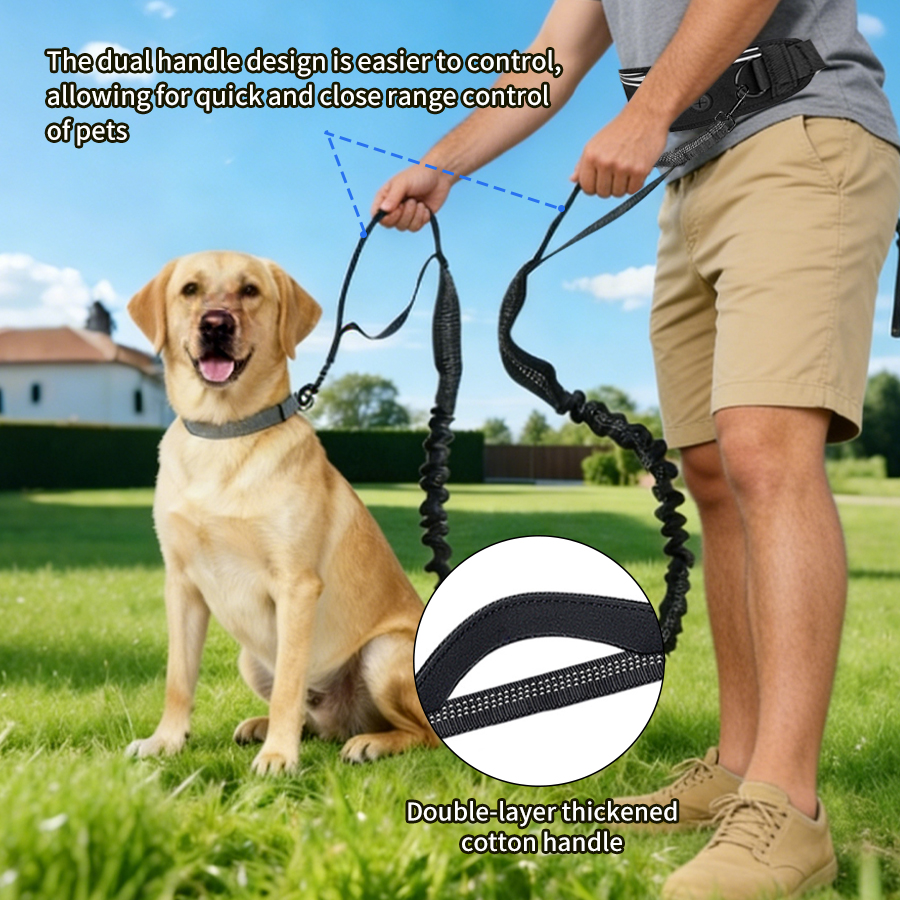 Foldable Reflective Dog Leash  - Running Gear Holder incelemesi ve fiyatı
